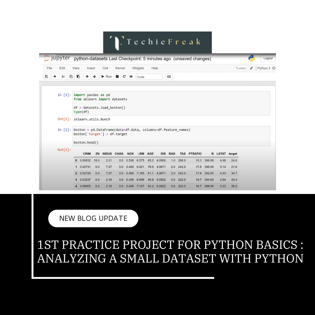 1st Practice Project for Python Basics : Analyzing a Small Dataset with ...